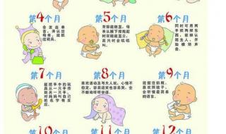八个月的宝宝能吃什么 八个月的宝宝能吃什么
